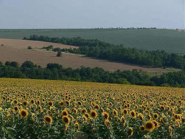 Nedvizhimost V Varnenskoj Oblasti Kupit Zhile V Varnenskoj Oblasti Ceny V Rublyah I Evro Homesoverseas Ru