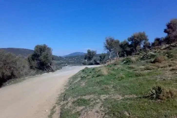 Land plot in Central Greece, Greece