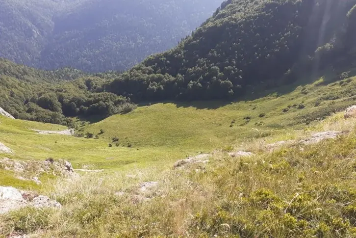 Land plot in Kolasin, Montenegro