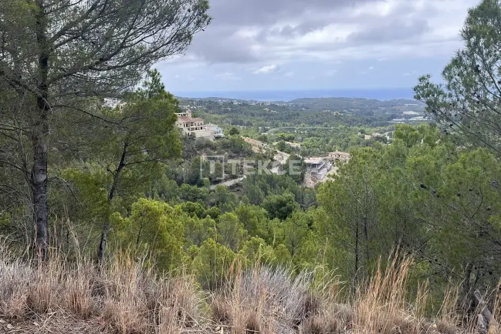    Altea Hills, 