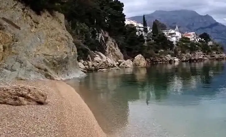   , 