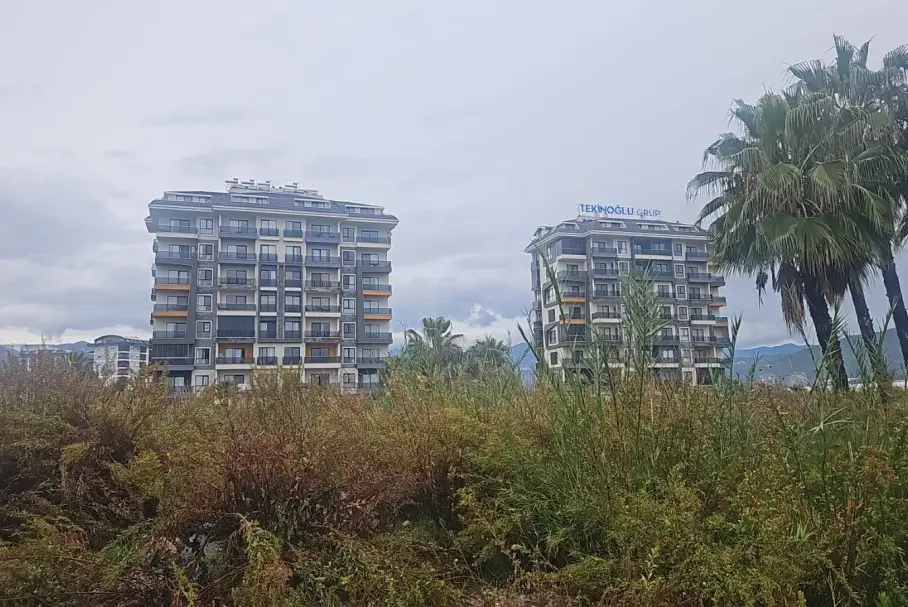 �������� � ������ ������, ������